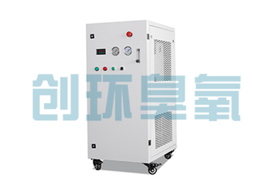 桥东石斑鱼养殖水质调控完整指南：臭氧发生器配置与操作步骤