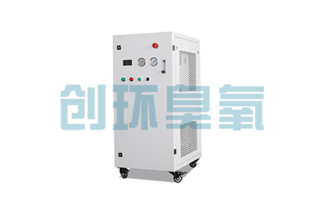 桥东比传统换水更高效？臭氧发生器在石斑鱼养殖中的水质净化原理解析